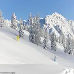 Gruber By Interhome Leogang