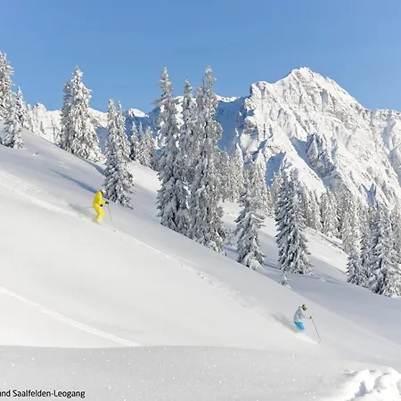 Gruber By Interhome Leogang